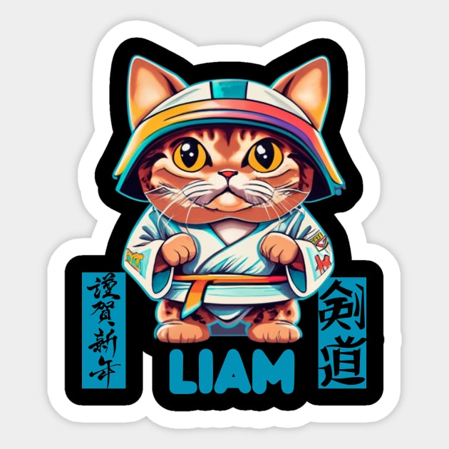 Personalized Name Liam Karate Cat Sticker by Jo Palmer